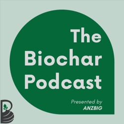 Biochar in Infrastructure