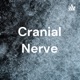 Cranial Nerve