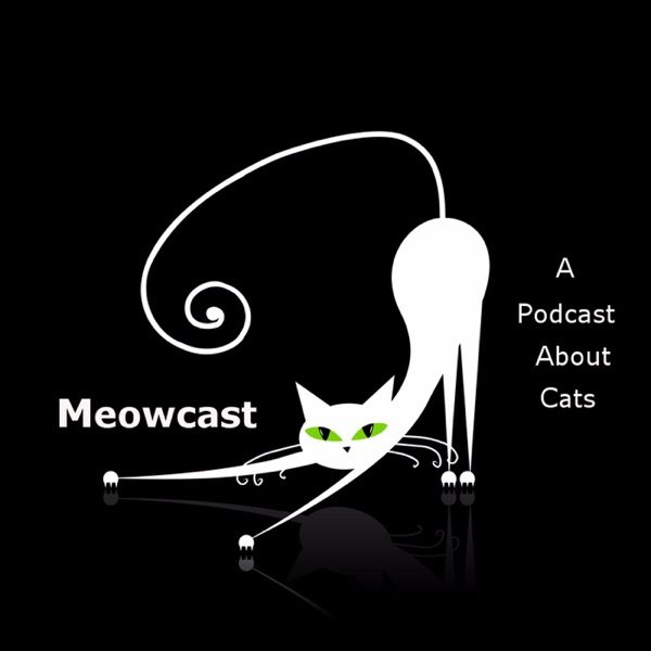 Meowcast a Podcast About Cats