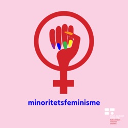 Minoritetsfeminisme 