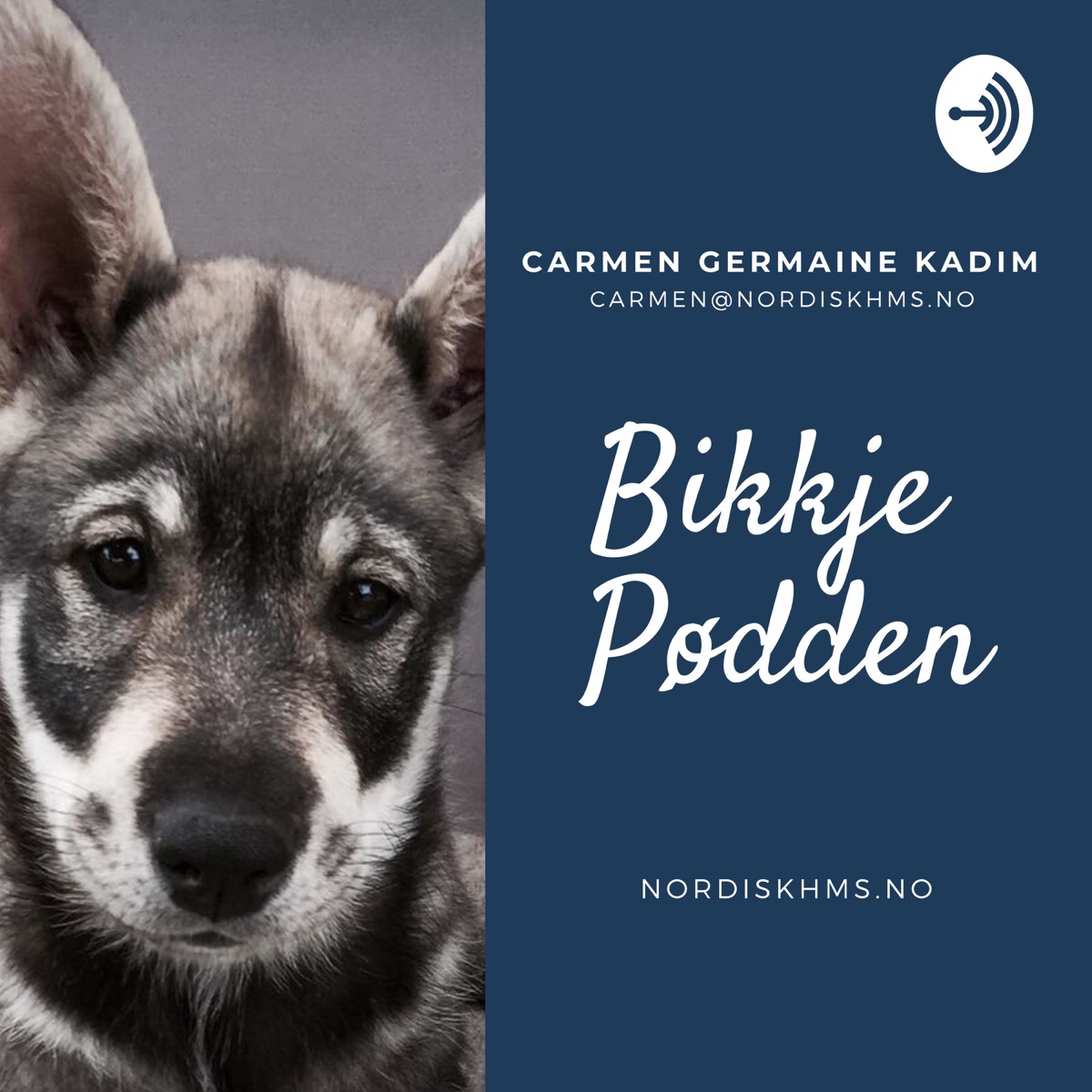 Bikkje Pødden - For alle hundeinteresserte – Podcast – Podtail
