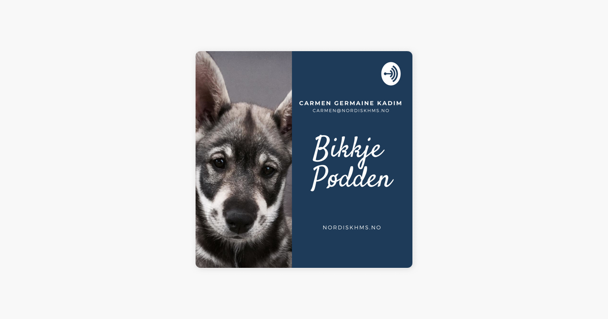 Bikkje Pødden - For alle hundeinteresserte: Seniorhunden on Apple Podcasts