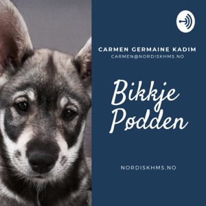 Trening av Gjeterhund med Maj-Lene Knudsen - Bikkje Pødden - For alle  hundeinteresserte | Lyssna här | Poddtoppen.se