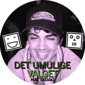 Det Umulige Valget