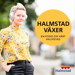 Avstampet: ”Halmstad växte med 300% på 30 år”