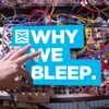 Why We Bleep - Mylar Melodies