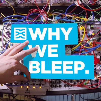 Why We Bleep:Mylar Melodies
