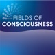 Fields of Consciousness