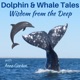 Dolphin & Whale Tales, Wisdom from the Deep