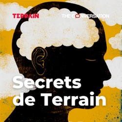 Teaser | Secrets de Terrain