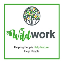Why engage with Wild Work and the benefits of being part of the Wild Work movement