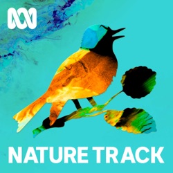 The Soundtrack of Australia