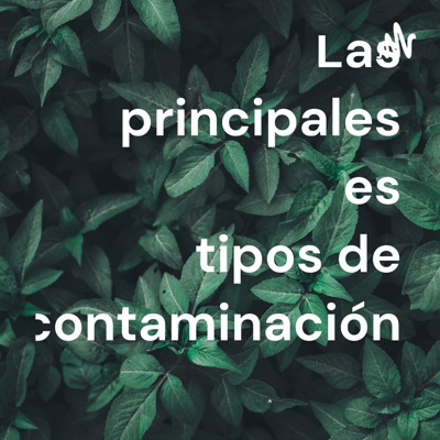 Las principales es tipos de contaminación