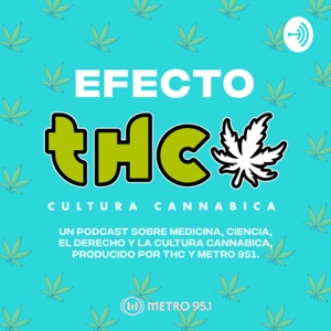 Efecto THC