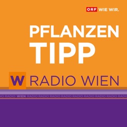 Pflanzen, die im Winter blühen