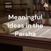 Meaningful Ideas on the Parsha artwork