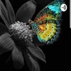 Eve Of Eloquence (Exploring Our Reality)