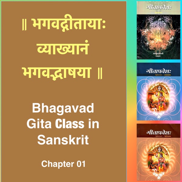 Bhagavad Gita Class (Ch1) in Sanskrit by Dr. K.N. Padmakumar (Samskrita Bharati) Artwork