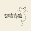 A Curiosidade Salvou o Gato - Margarida Santos