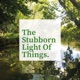 The Stubborn Light of Things