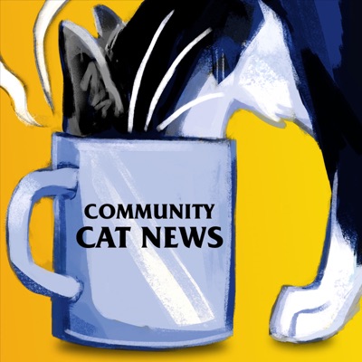 Community Cat News