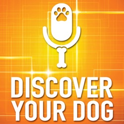 Retraining You to Retrain Your Dog