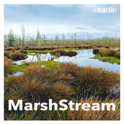 MarshStream, a podcast from The Marsh:MarshStream