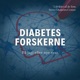 Det danske diabetesregister