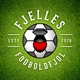 Fjelles Fodboldfjol