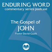 The Gospel of John – Enduring Word Media Server - David Guzik
