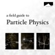 The Field Guide to Particle Physics