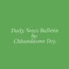 Daily News Bulletin. artwork