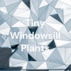 Tiny Windowsill Plants artwork