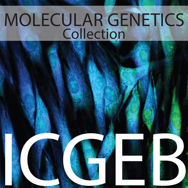 Molecular Genetics