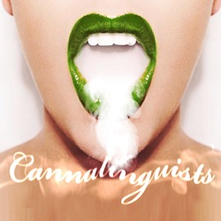 The CannaLinguists – E062 – Stealthy Car Keys Vape & CO Gummy Ban