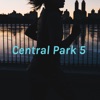 Central Park 5 : Tv Show VS Reality