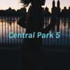 Central Park 5 : Tv Show VS Reality - Marilu Cortes