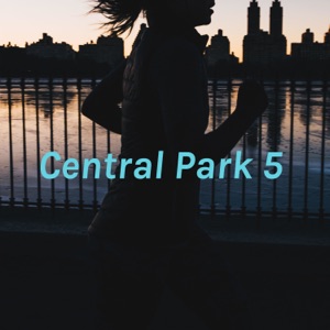 Central Park 5 : Tv Show VS Reality