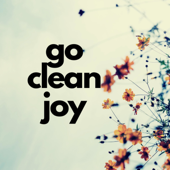 Go Clean Joy House Cleaning Tips - Cleaven Smith