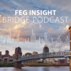 FEG Insight Bridge artwork