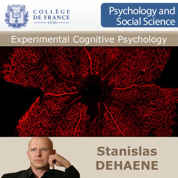 Experimental Cognitive Psychology Artwork