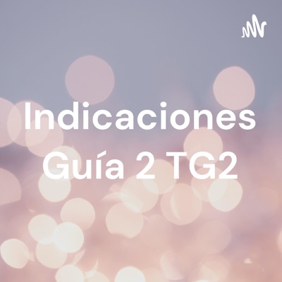 Indicaciones Guía 2 TG2