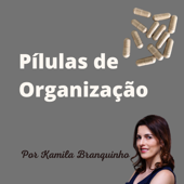 Pílulas de Organização - seularnolugar