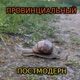 Провинциальный постмодерн#003: Рождение СверхЮмориста