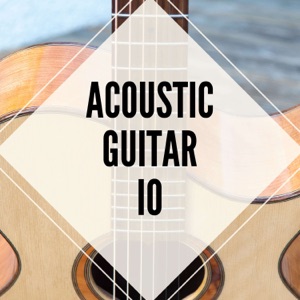Acoustic Guitar IO