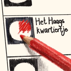 ‘VVD staat voor duivels dilemma na verkiezingsuitslag’