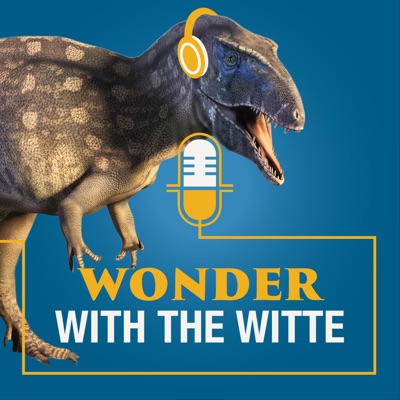 Wonder with the Witte Wonder with the Witte
