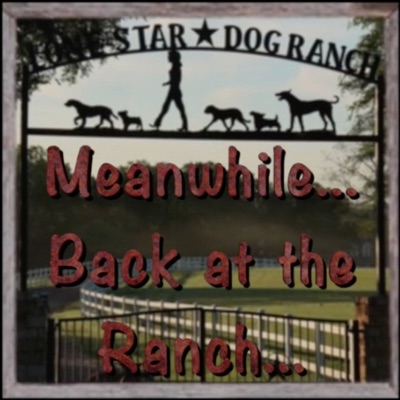 Meanwhile...Back at the Ranch Meanwhile...Back at the Ranch