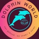 Dolphin World - Eat Burger, Do Sports and Shine