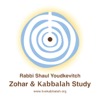 Rabbi Shaul Youdkevitch – Zohar & Kabbalah Study